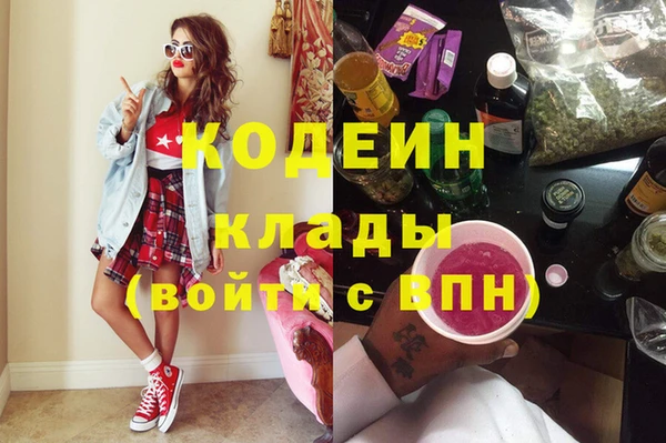 дживик Вязьма